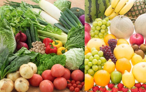 フレッシュダイトー