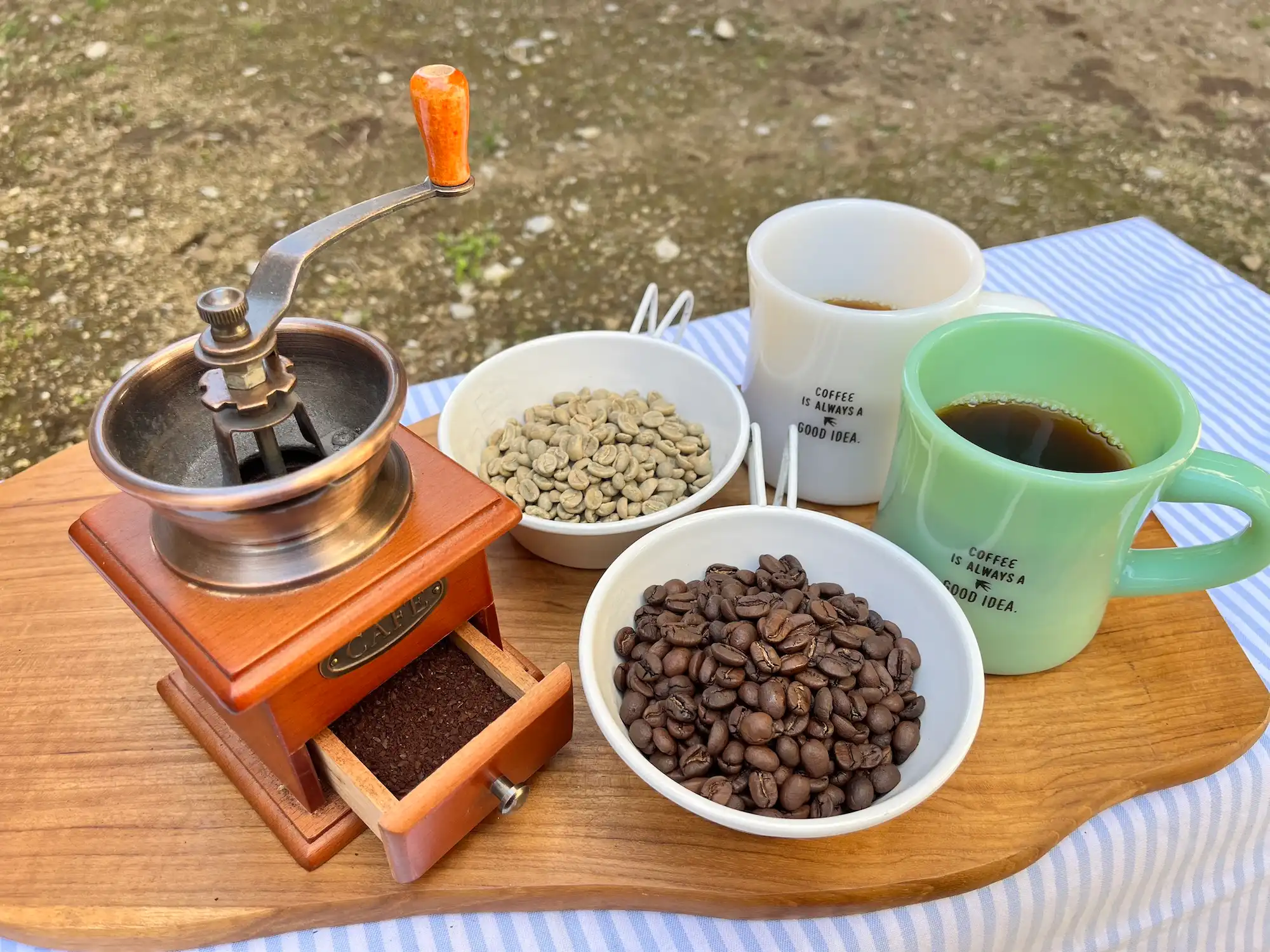 WILD MIND GO!GO! 自然体験のワークショップ『生豆からコーヒーを焙煎してみよう』