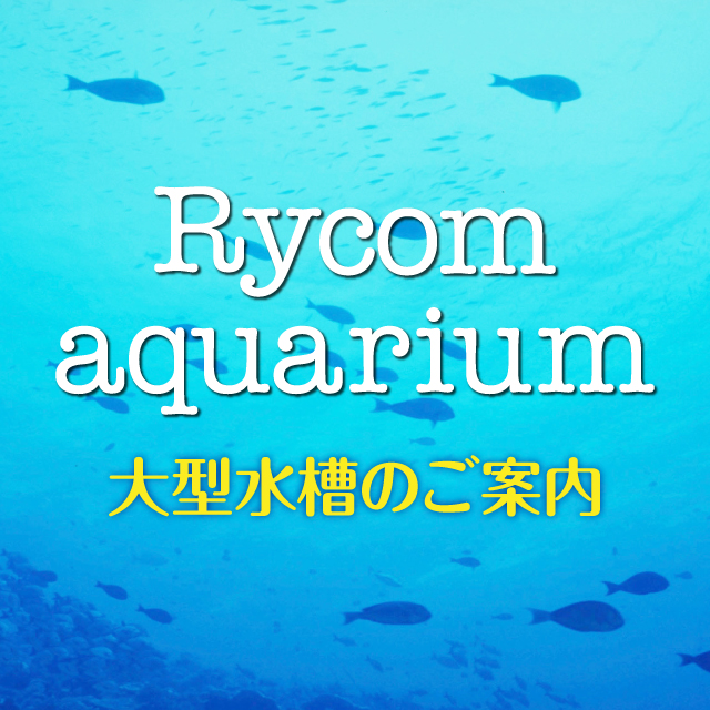 Rycom aquarium