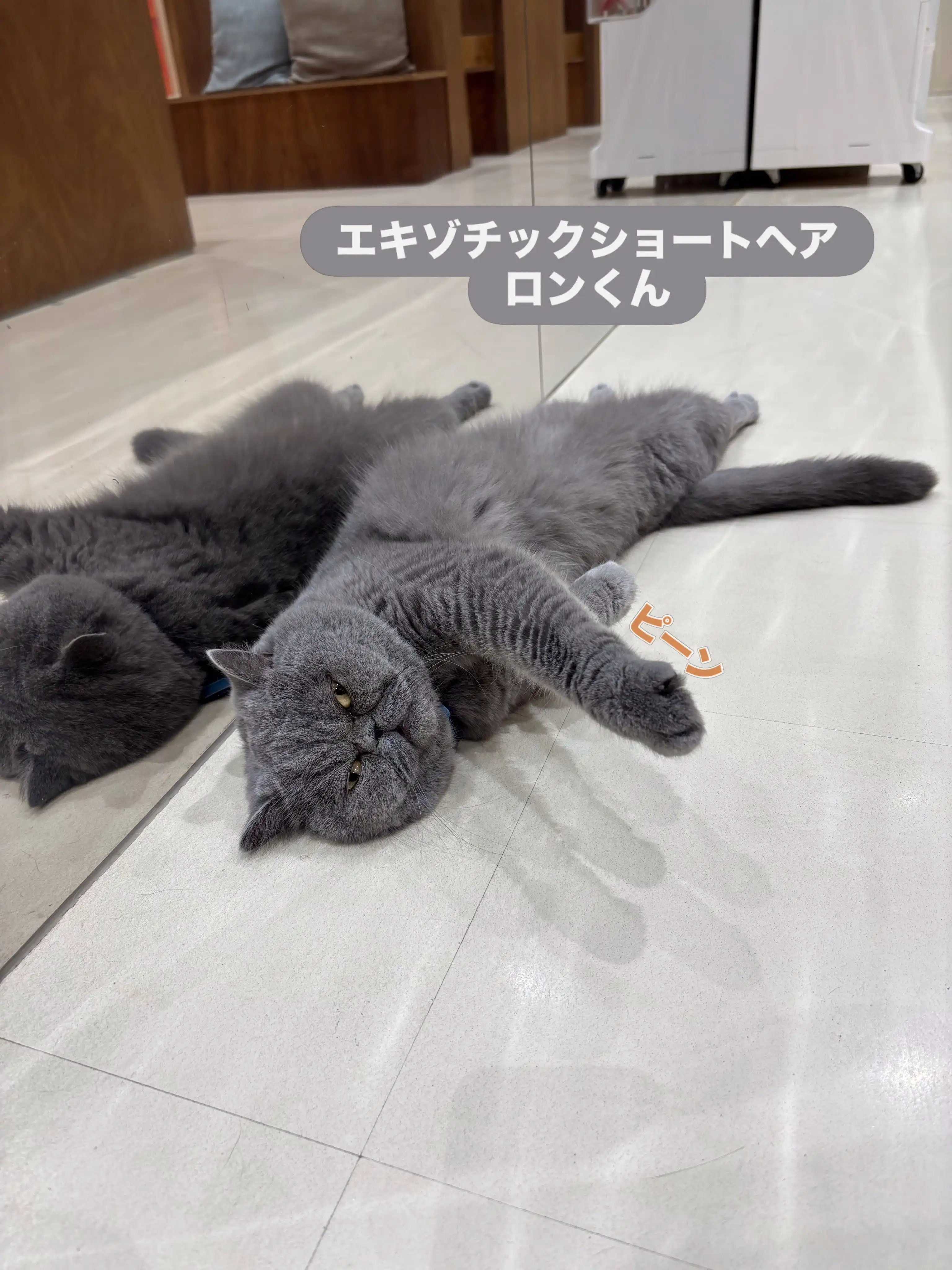 無防備な寝相紹介！！