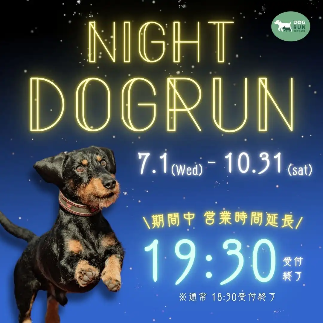 【ドッグランテラス】ナイトドッグラン開催！！