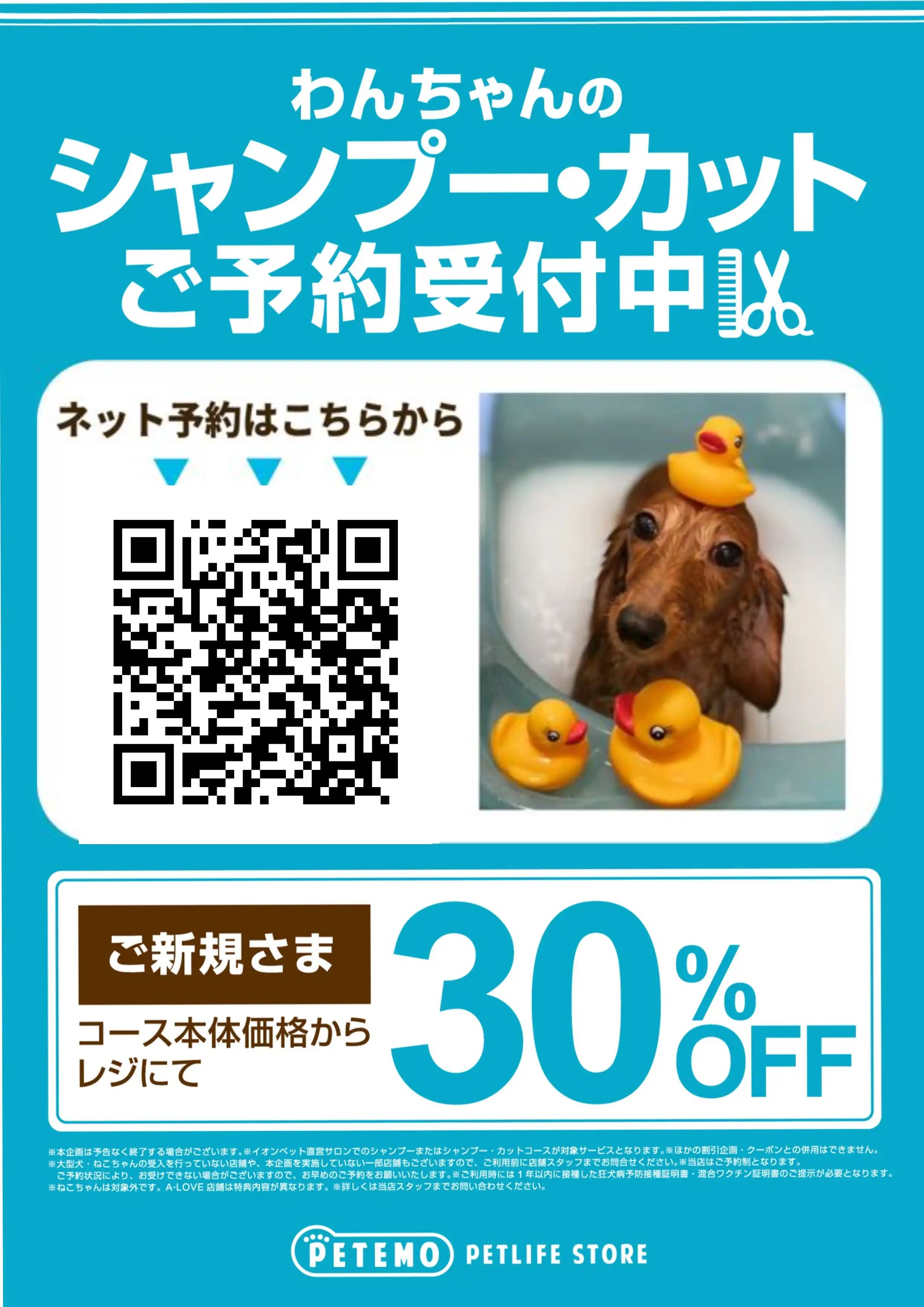 【グルーミング予約受付中！】ご新規さま30％OFF♪