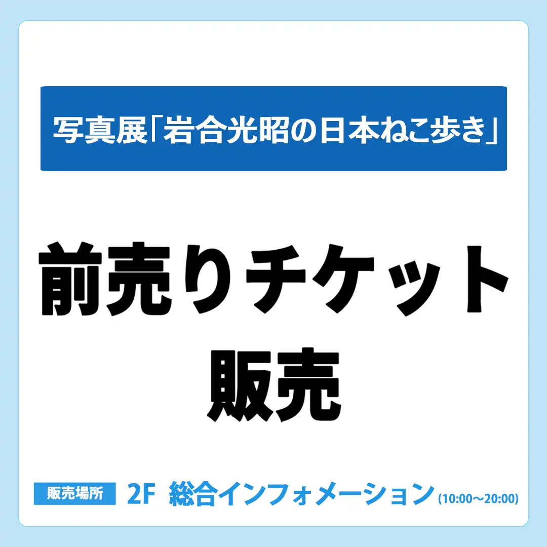 【前売チケット販売中】「写真展『岩合光昭の日本ねこ歩き』」
