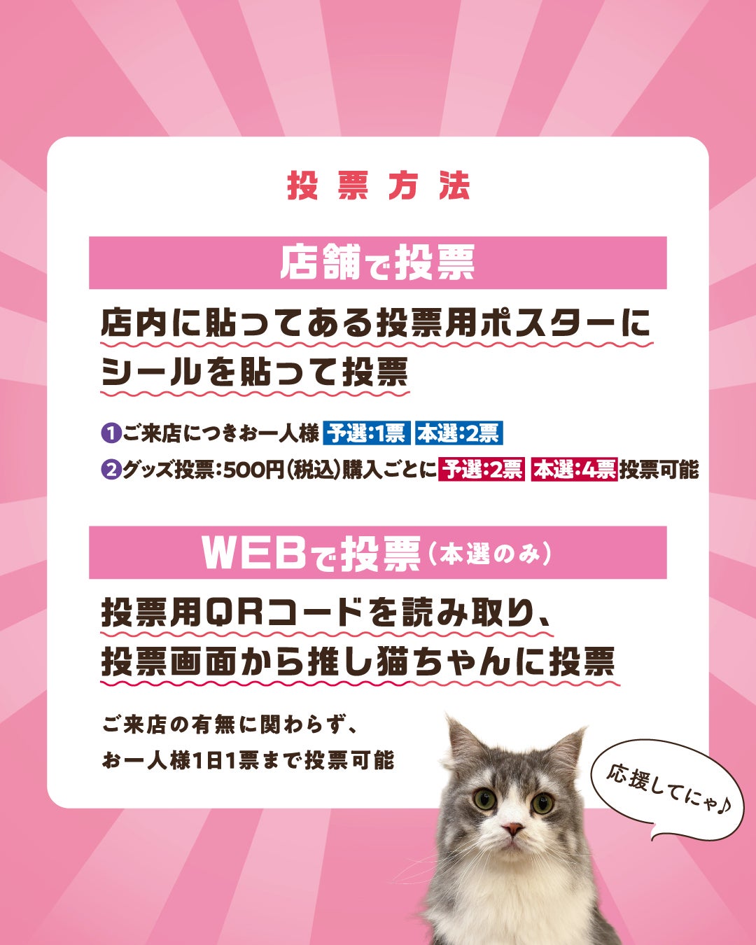 イベント｜【MOCHAにゃんず総選挙2026】開催！｜イオンモール徳島
