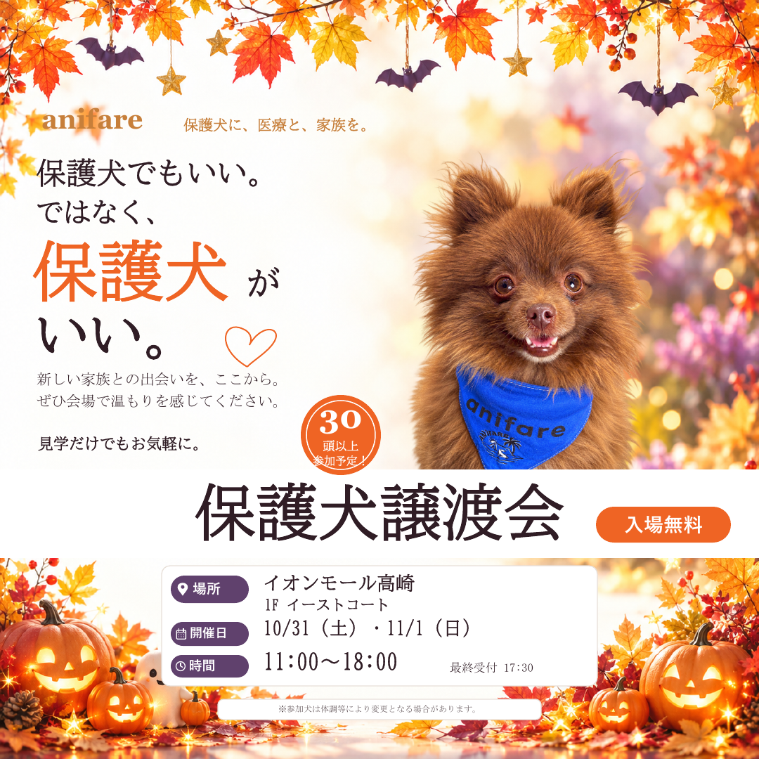 保護犬譲渡会