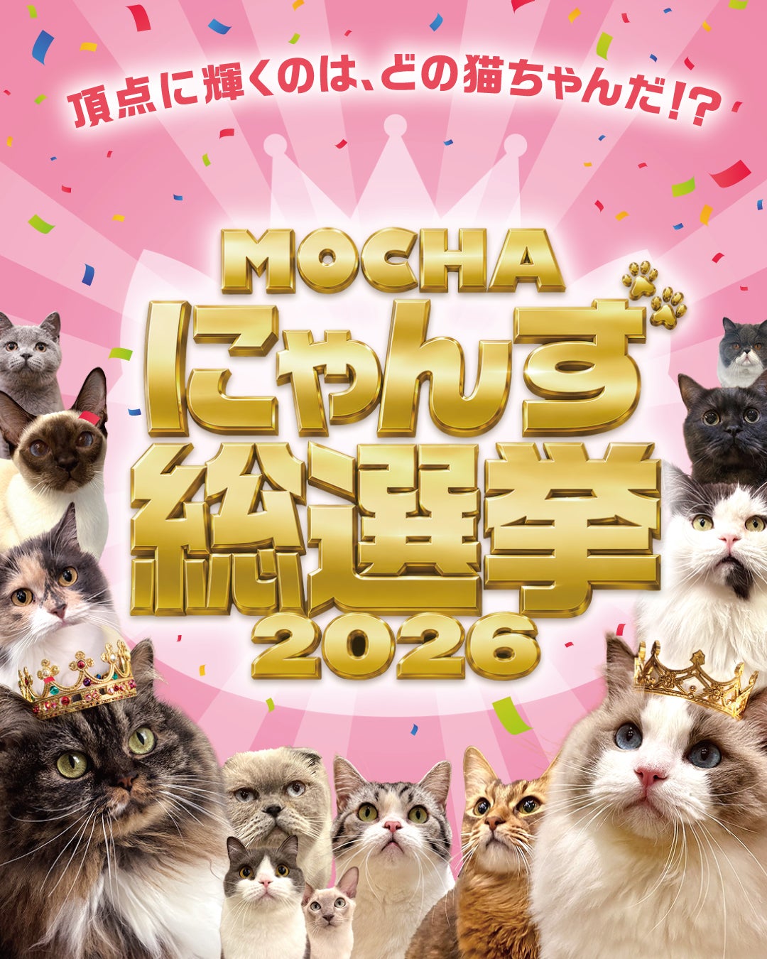 イベント｜【MOCHAにゃんず総選挙2026】開催！｜イオンモール徳島