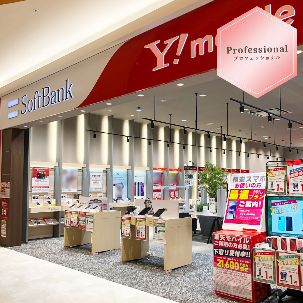 Professional ─プロフェッショナル─