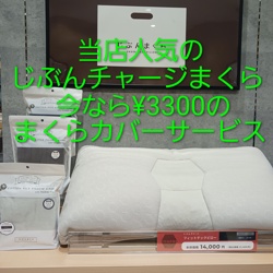 人気のまくらシリーズが今ならお得にゲットできるチャンス！！！