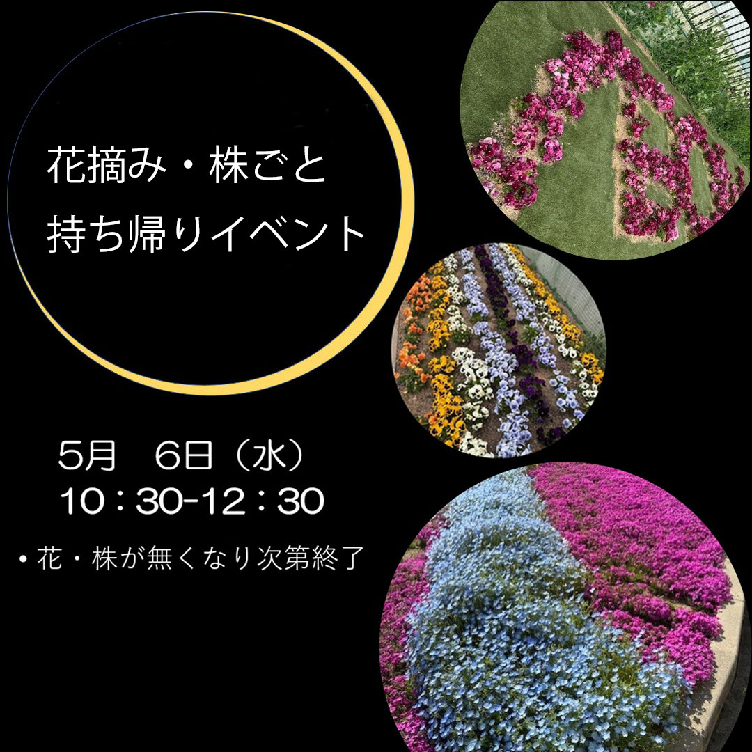 花摘み・株ごと持ち帰りイベント