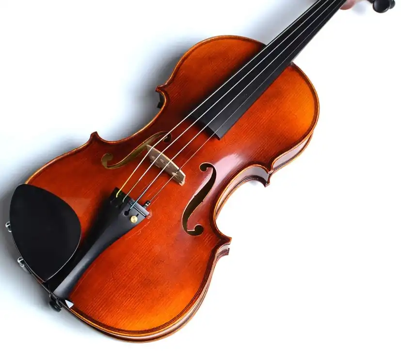 やってみたいを形に!ヴァイオリン教室生徒募集中!【島村楽器の音楽教室】