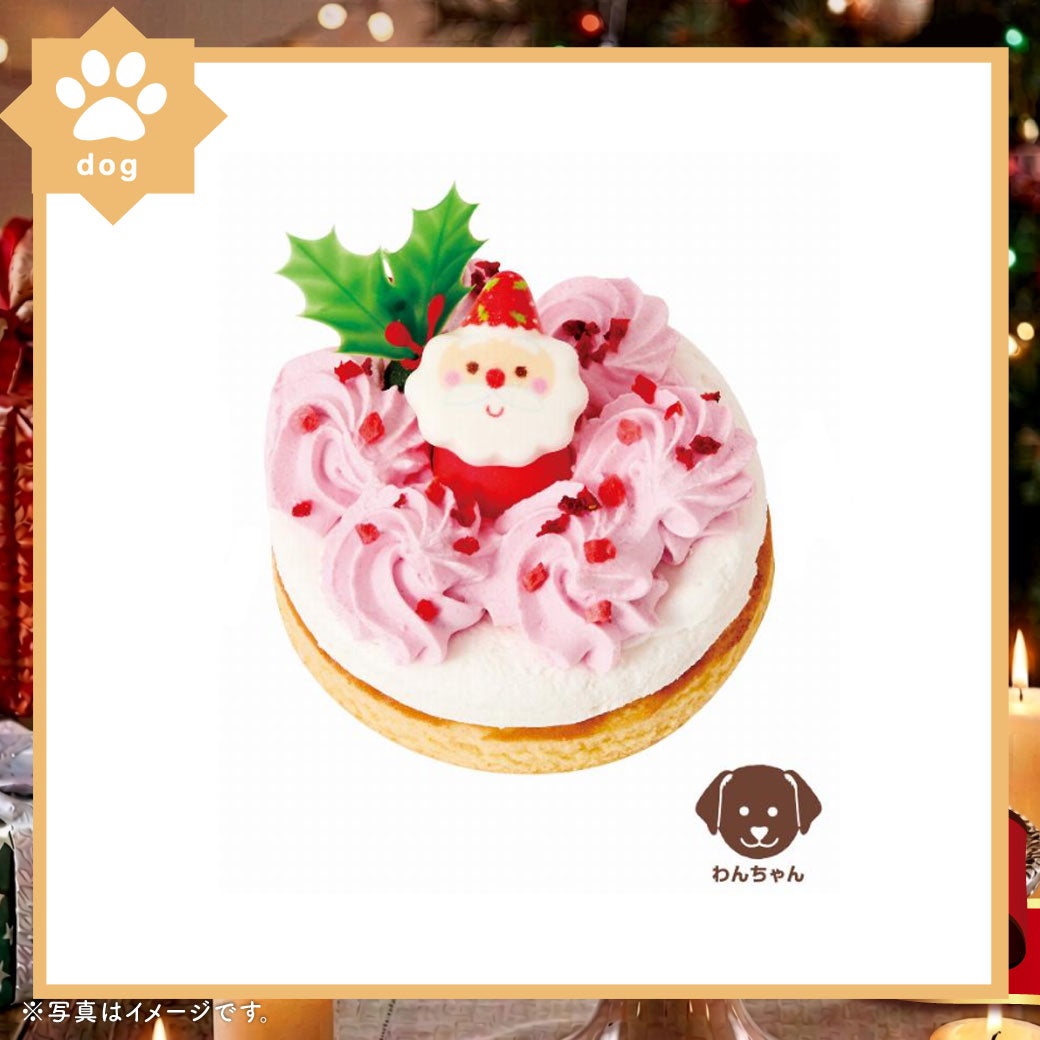 ホットドッグ コミフ愛犬と楽しむクリスマスケーキ