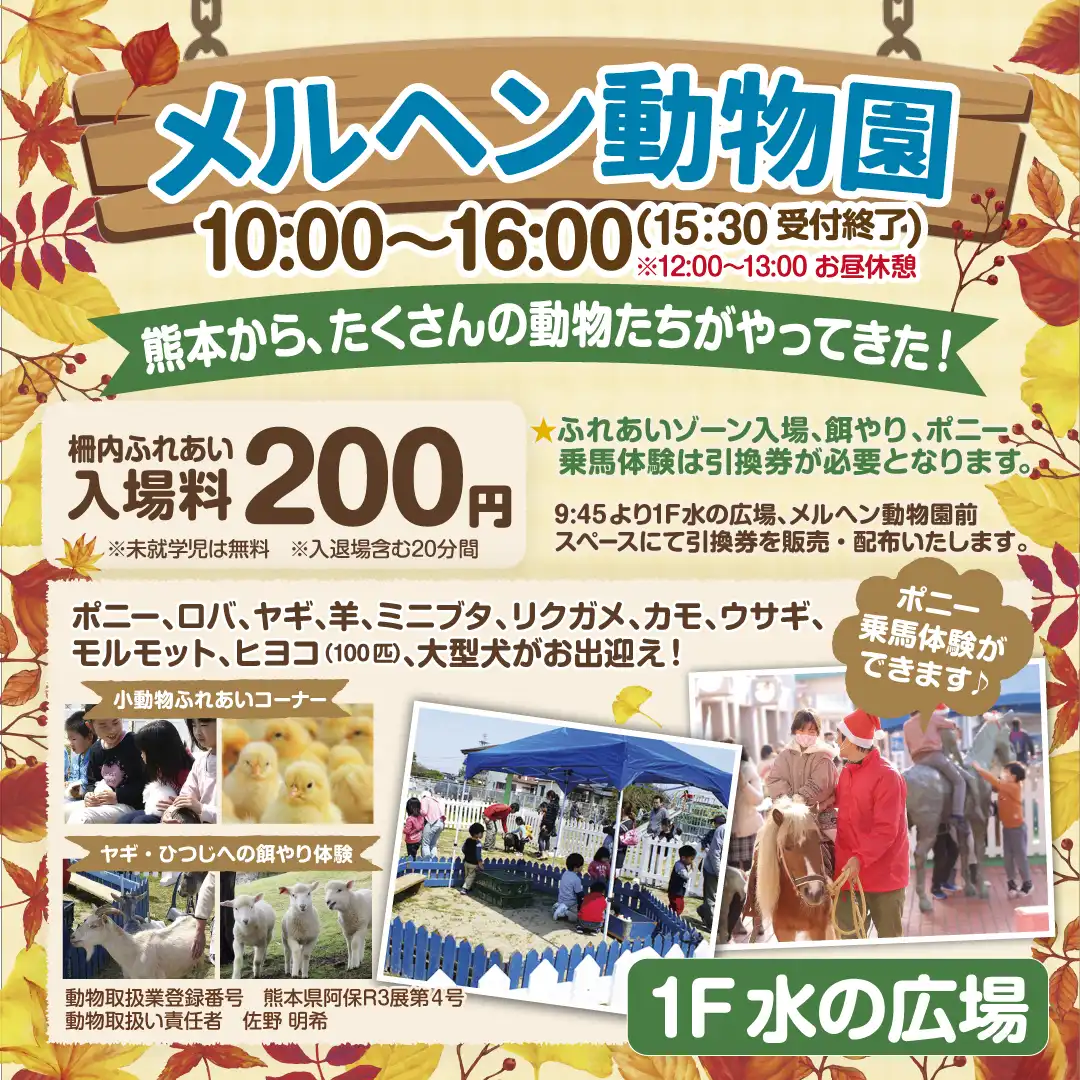 かわいい動物たちと触れ合おう!「メルヘン動物園」開催!