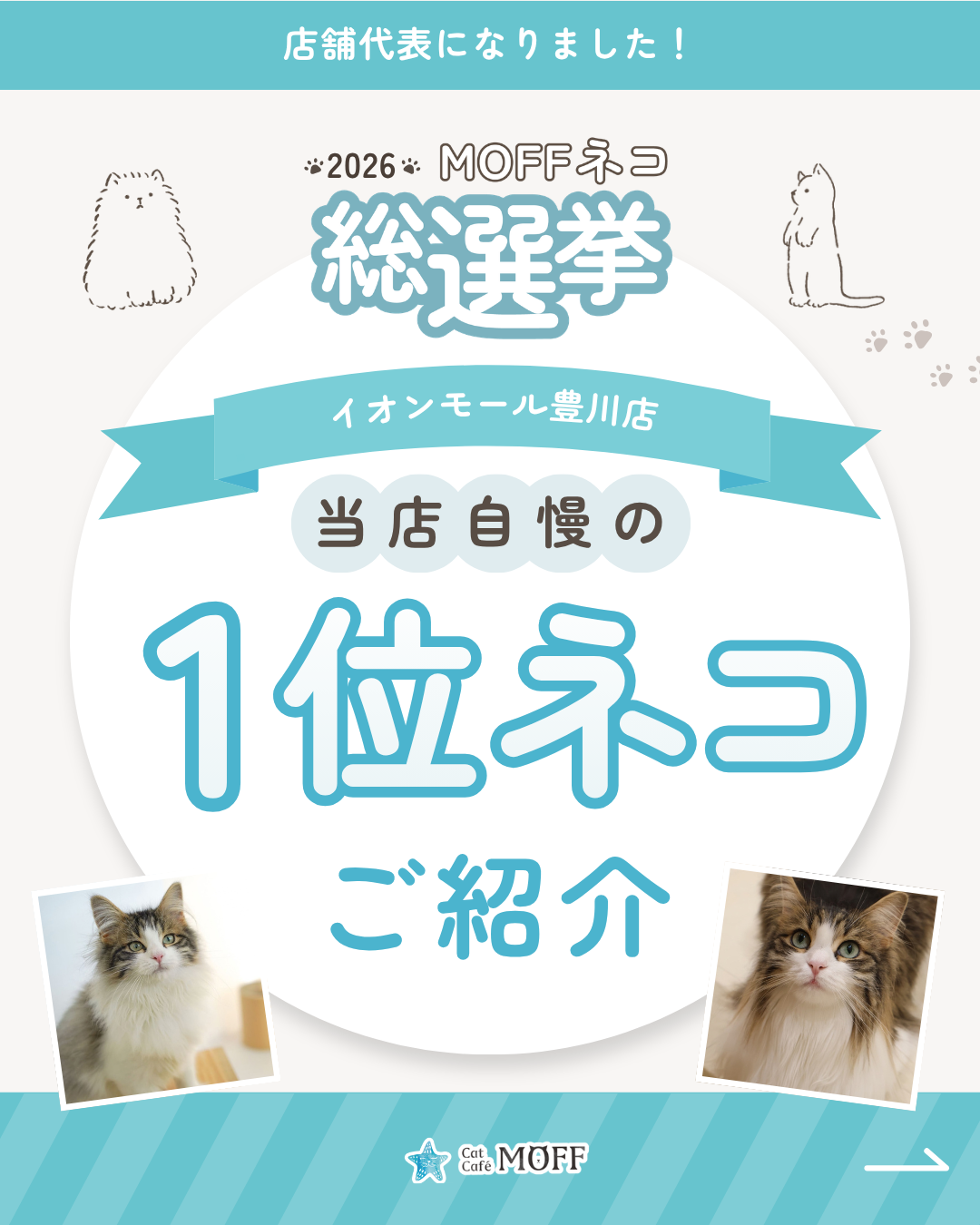 MOFFネコ総選挙開催中！