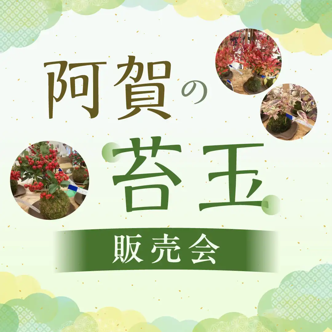 阿賀の苔玉販売会