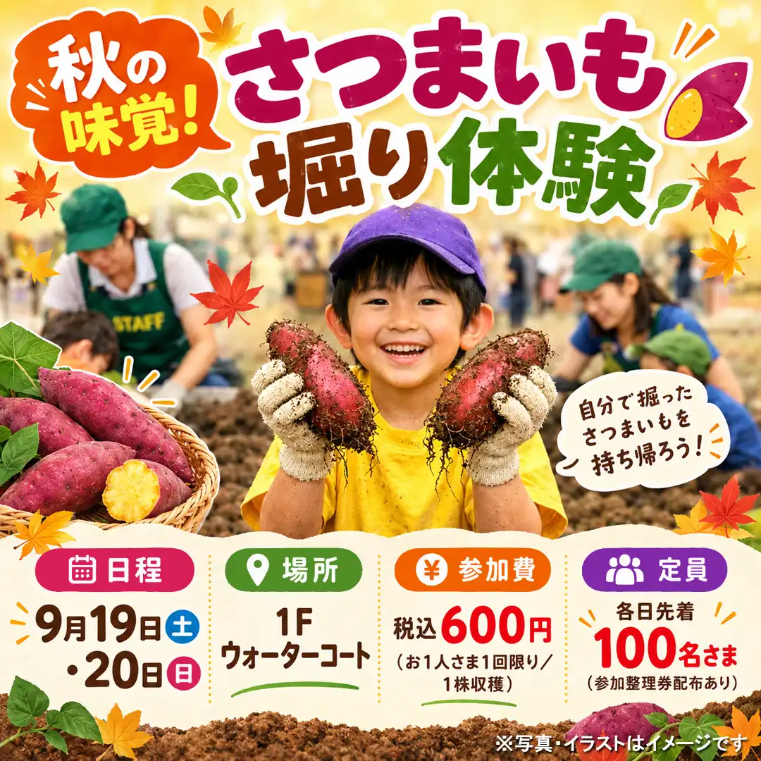 秋の味覚！さつまいも堀り体験