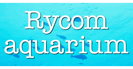 Rycom aquarium
