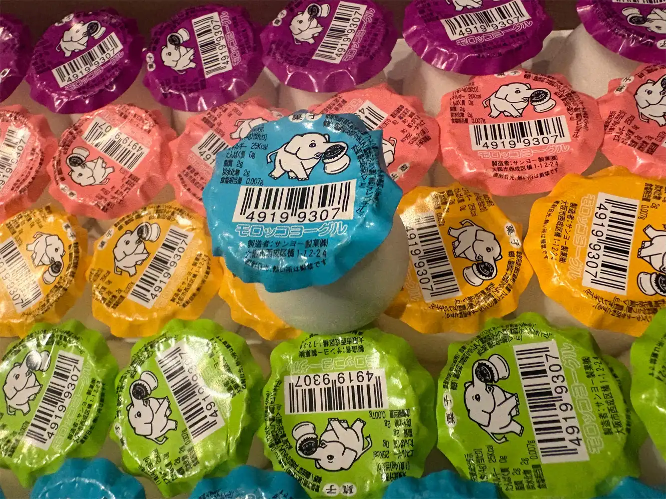 駄菓子の大定番♪モロッコヨーグル