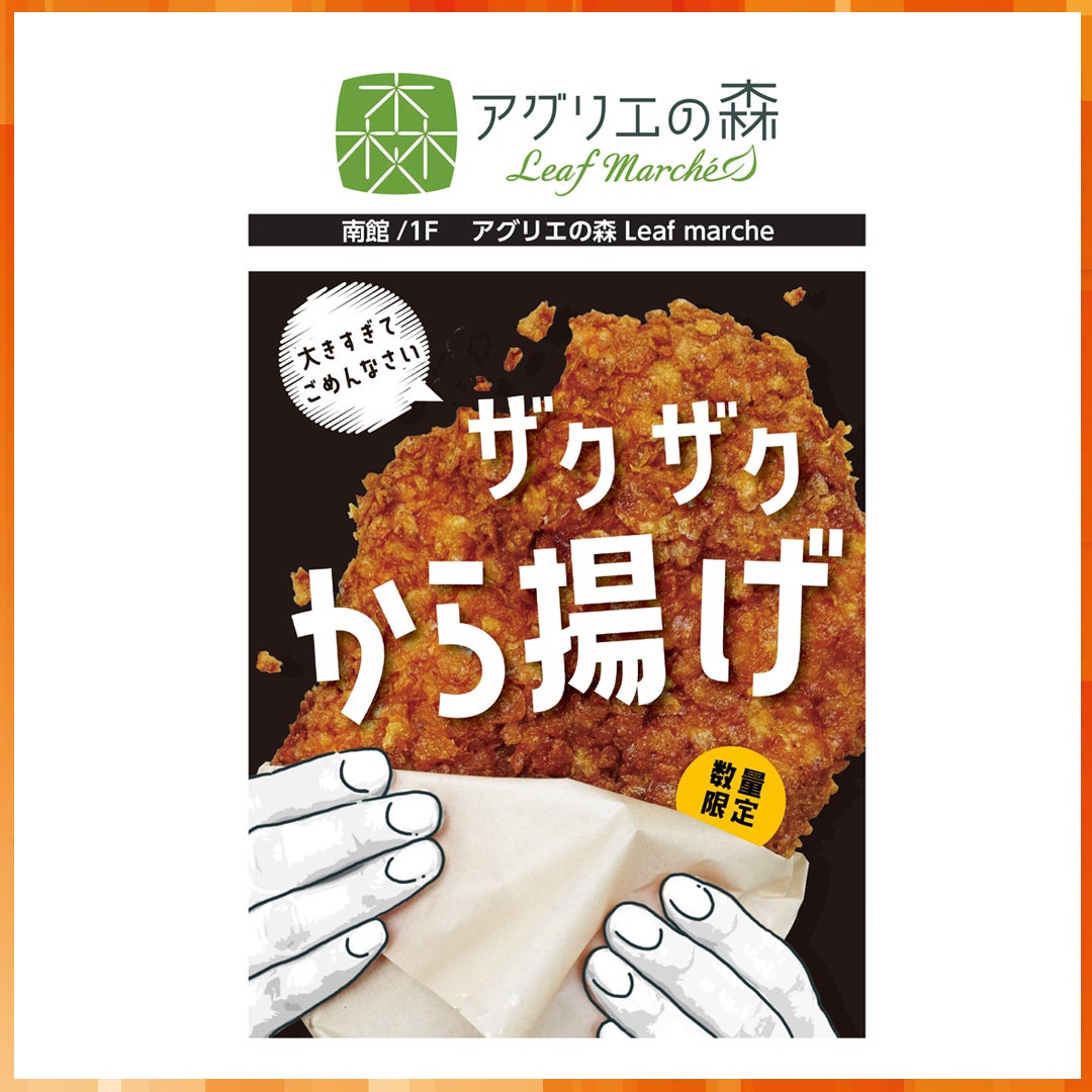ザクザクから揚げ