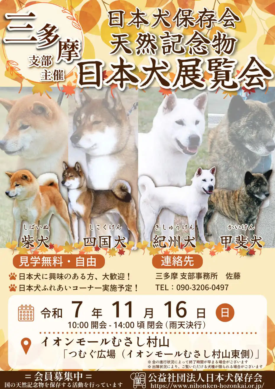 【日本犬保存会天然記念物】日本犬展覧会