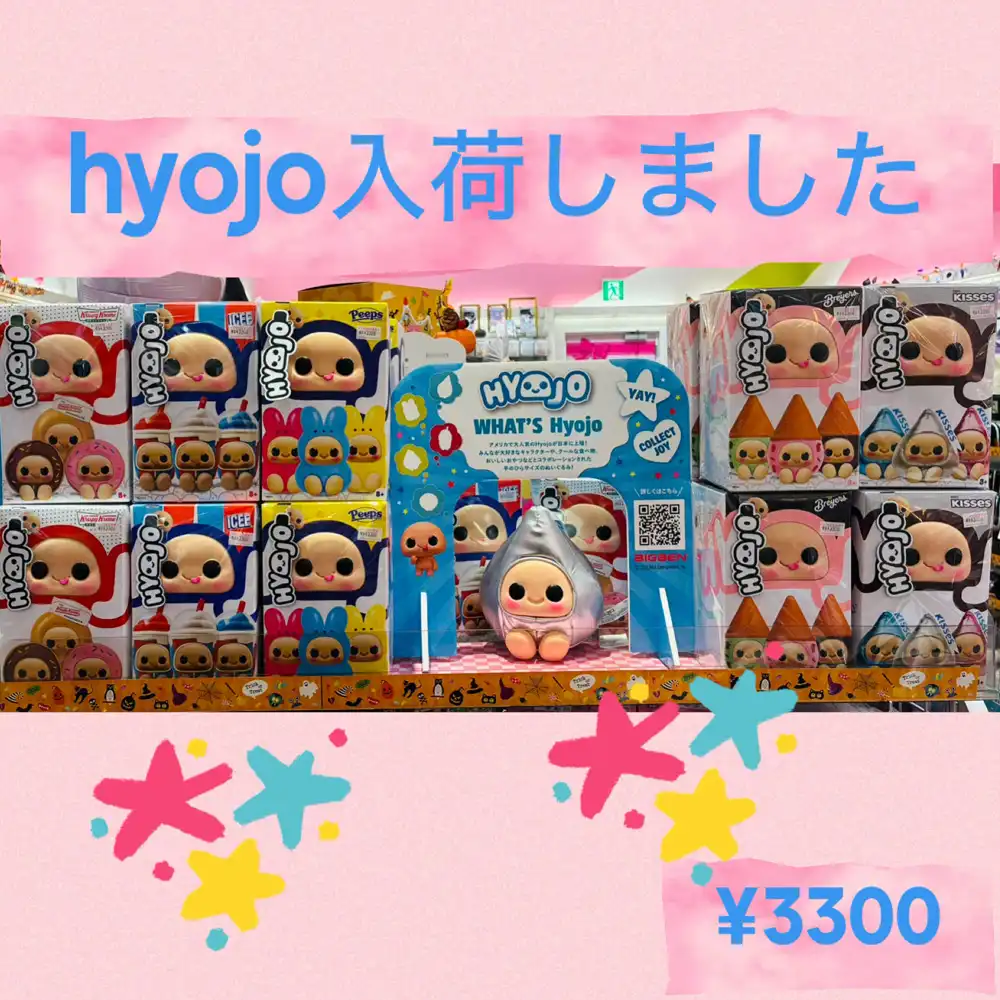 Hyojo入荷しました！