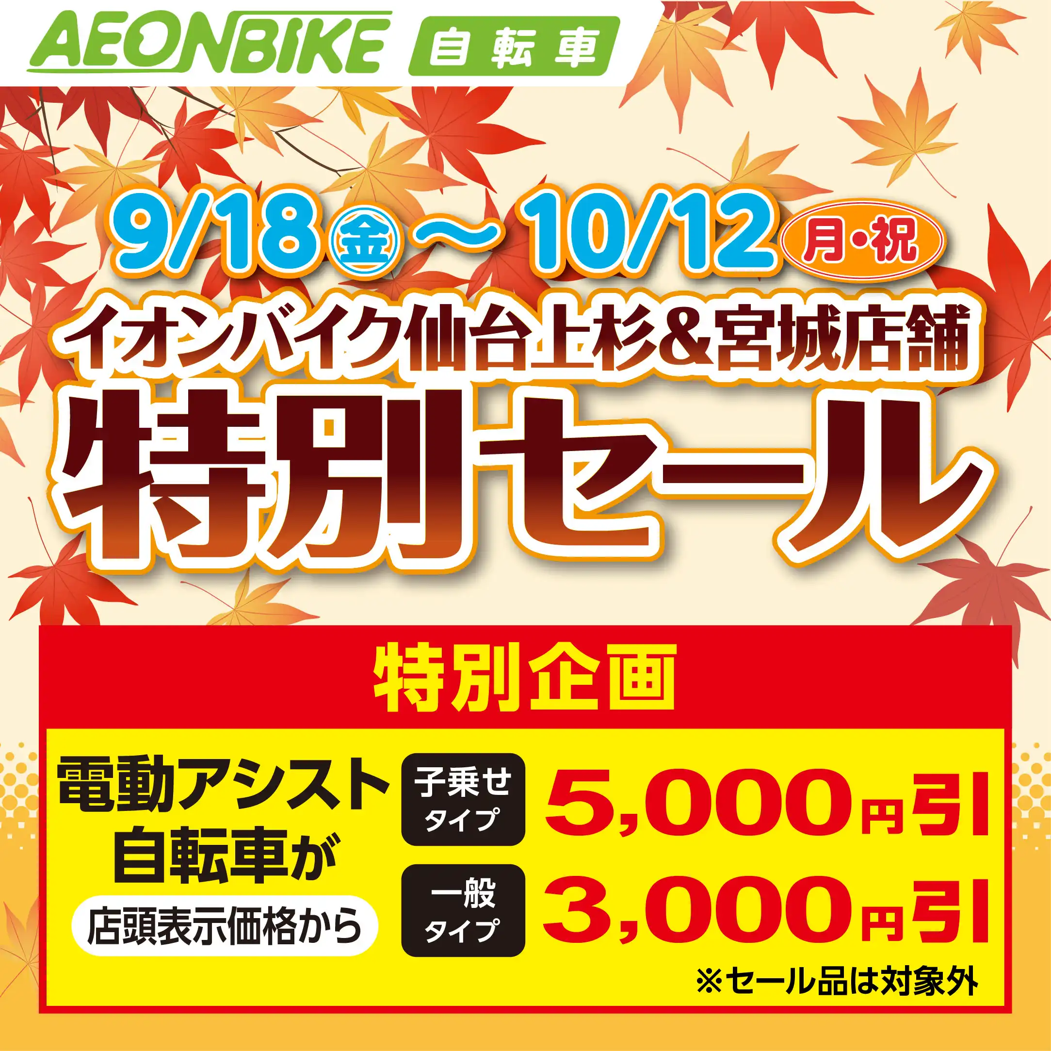 【特別セール開催中】