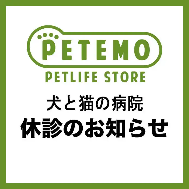 【みやざき犬と猫の病院】休診のお知らせ