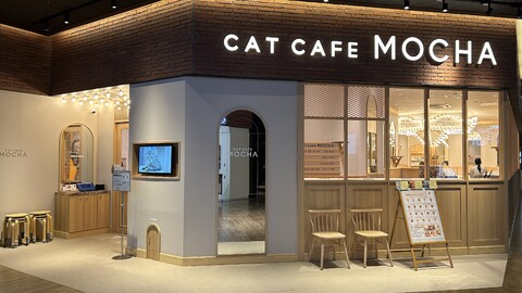 CAT CAFE MOCHA