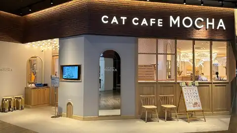 CAT CAFE MOCHA