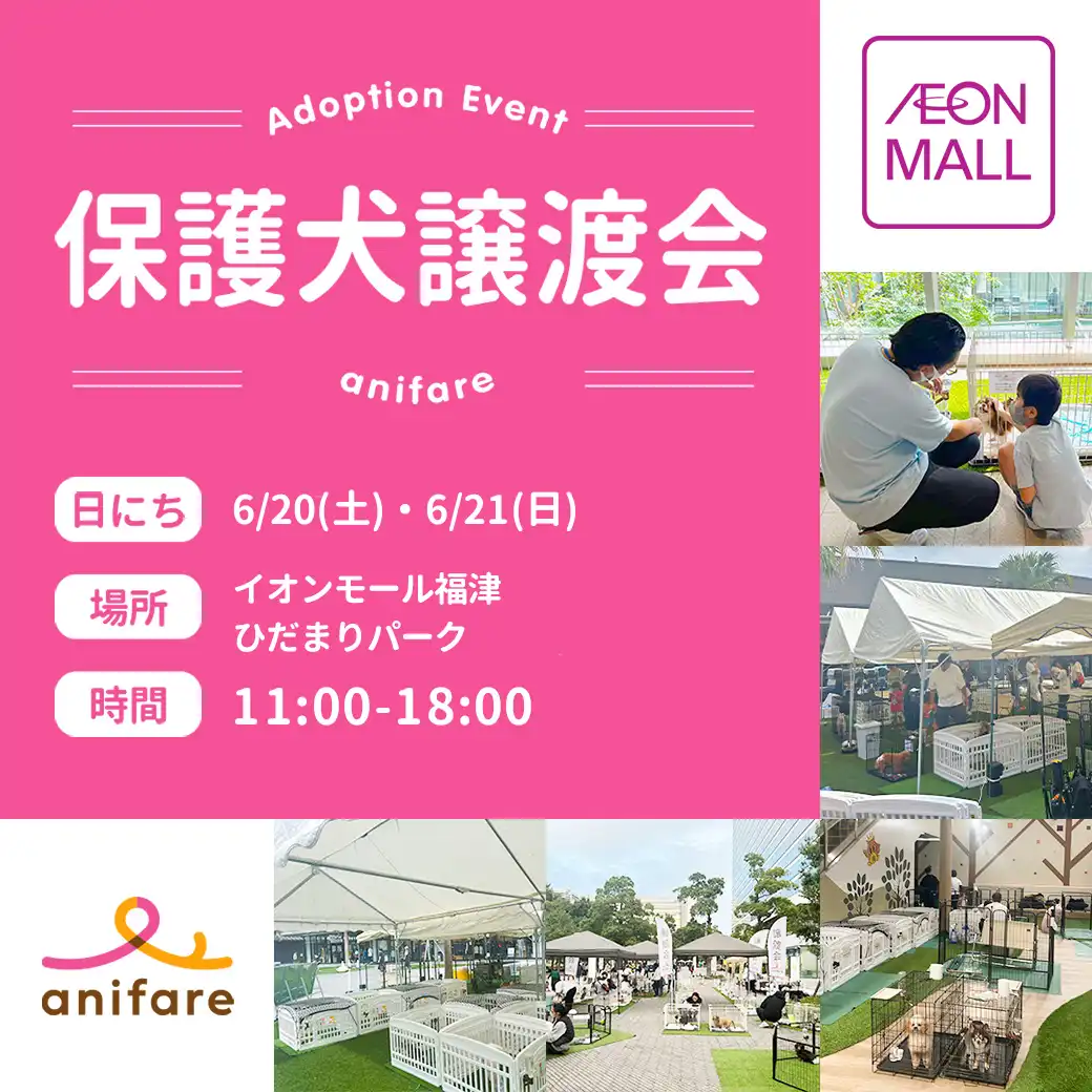 保護犬譲渡会