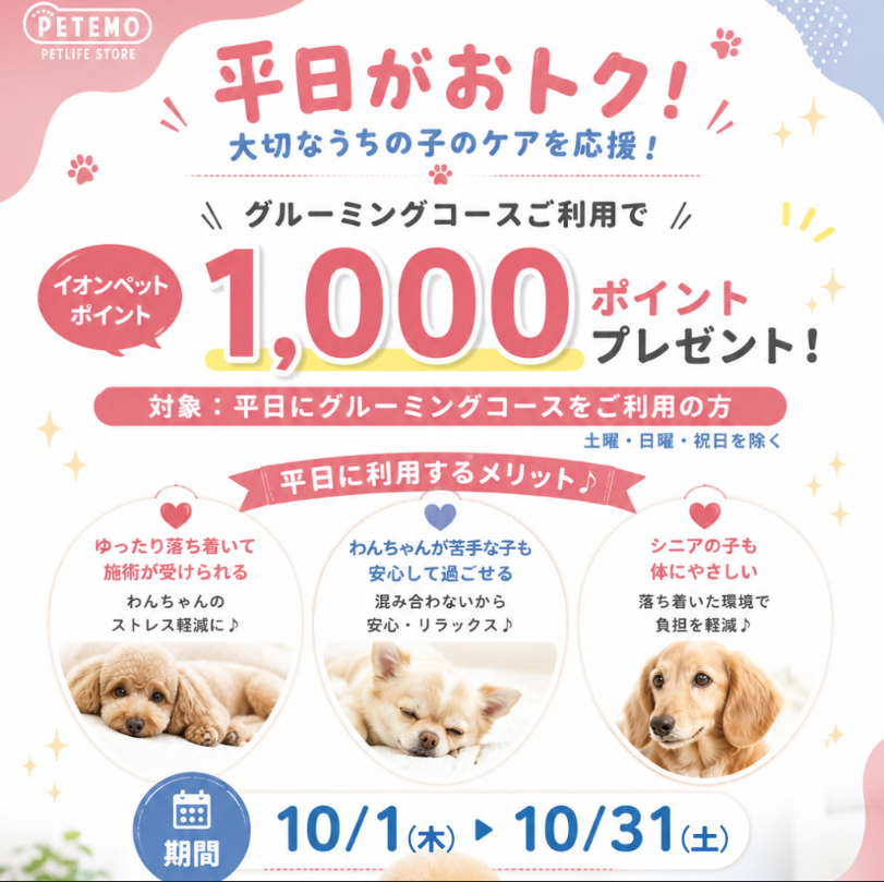 【10月1日～10月31日】平日がおトク！グルーミングご利用で1,000ポイントプレゼント♪