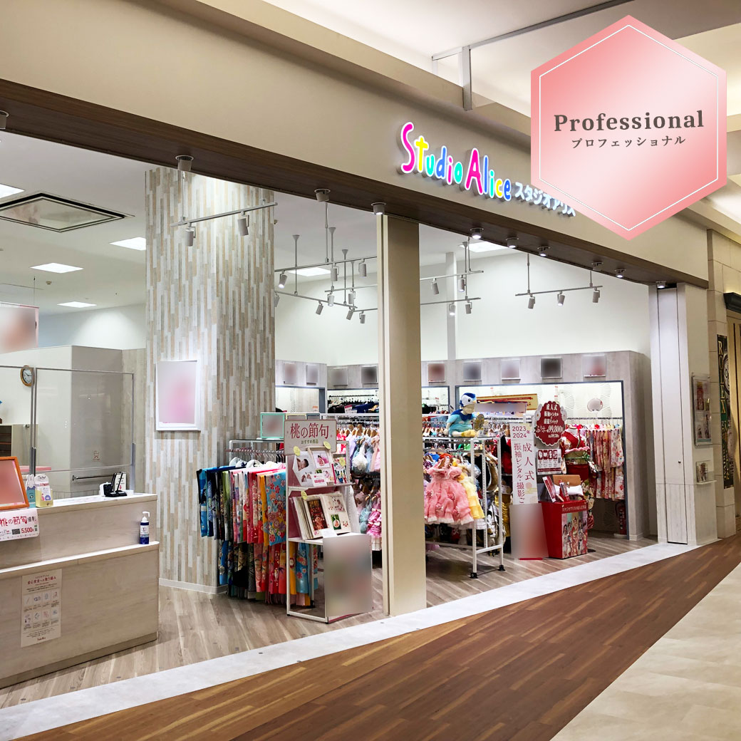 Professional ─プロフェッショナル─