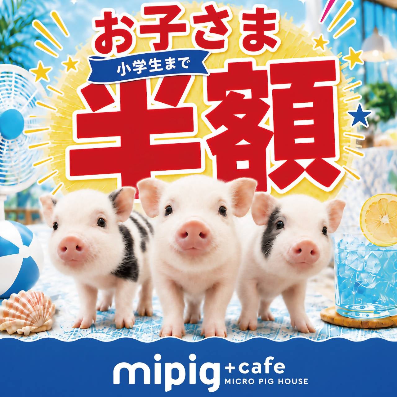 ニュース｜イオンモール浜松志都呂