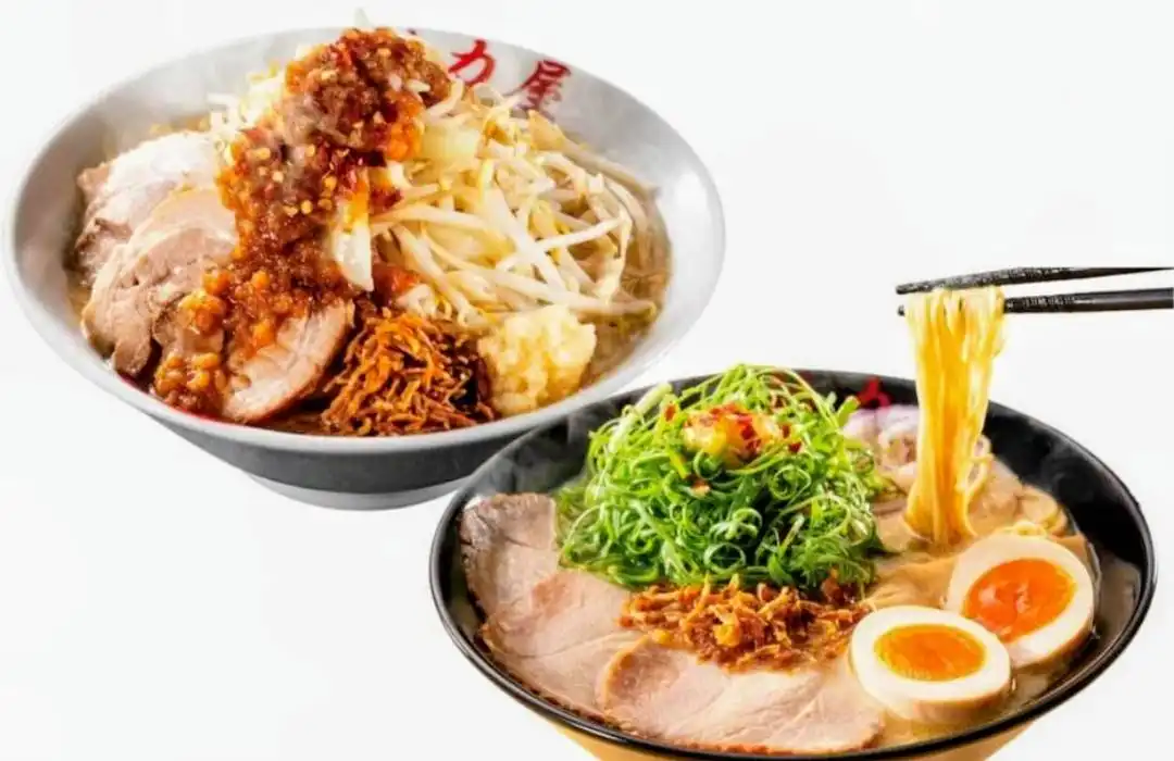期間限定商品【鶏白湯らぁめん＆鶏白湯G】