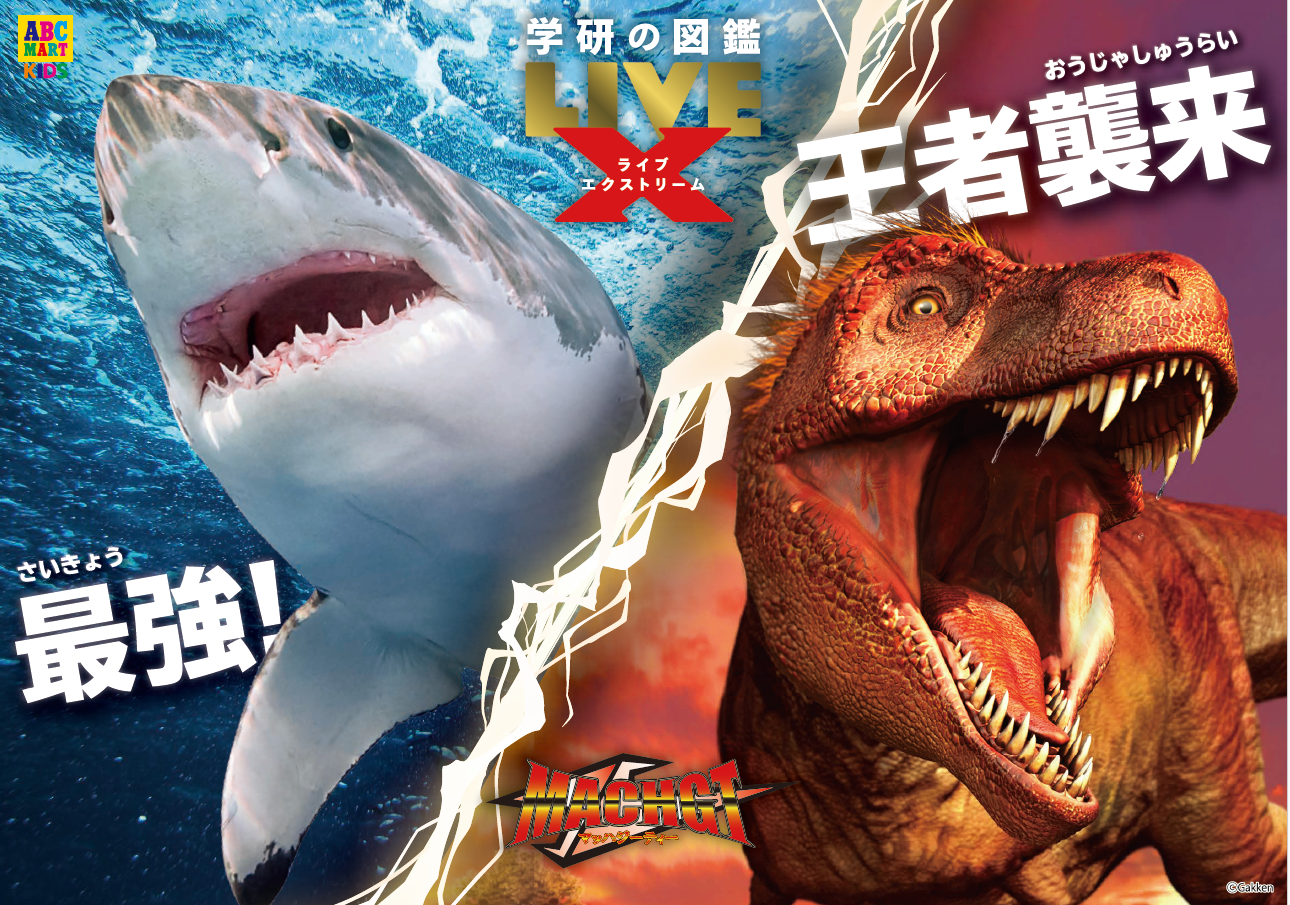 恐竜VSサメ！迫力満点のコラボスニーカー！