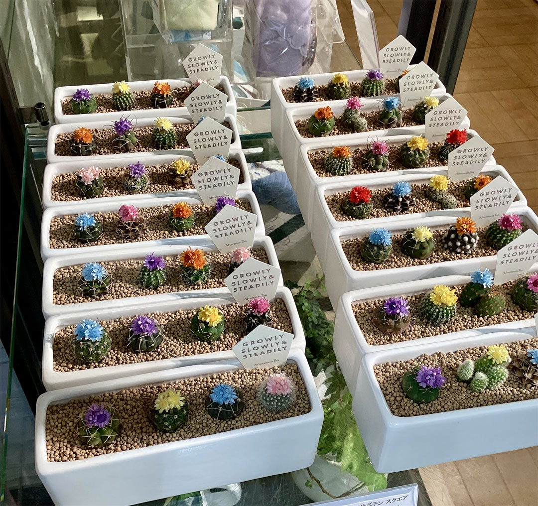 グリーンを暮らしのそばに