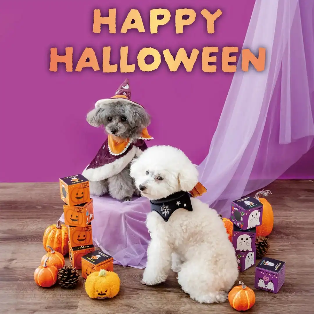 PETPARADISE☆ハロウィンアイテムで楽しもう♪