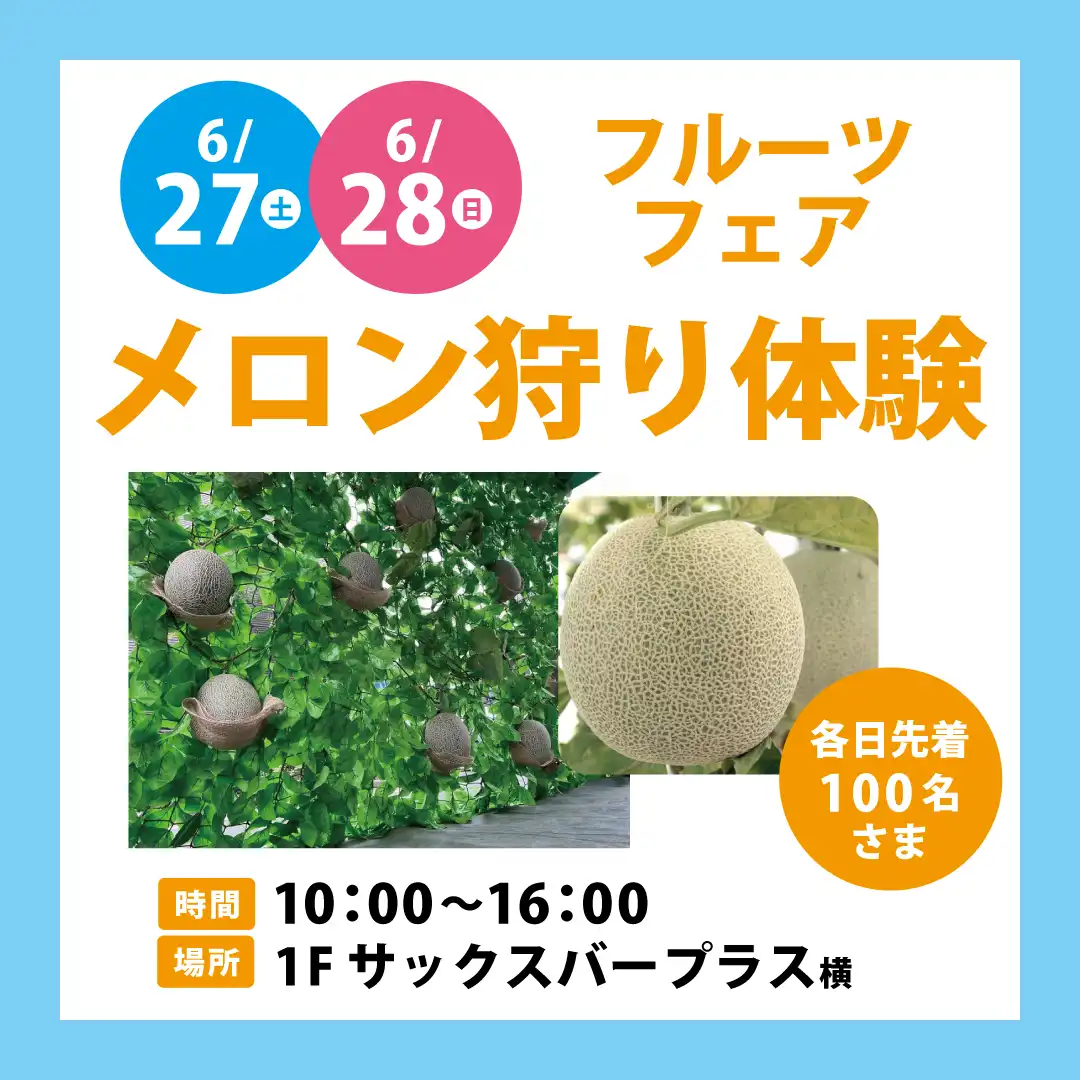 フルーツフェア メロン狩り体験
