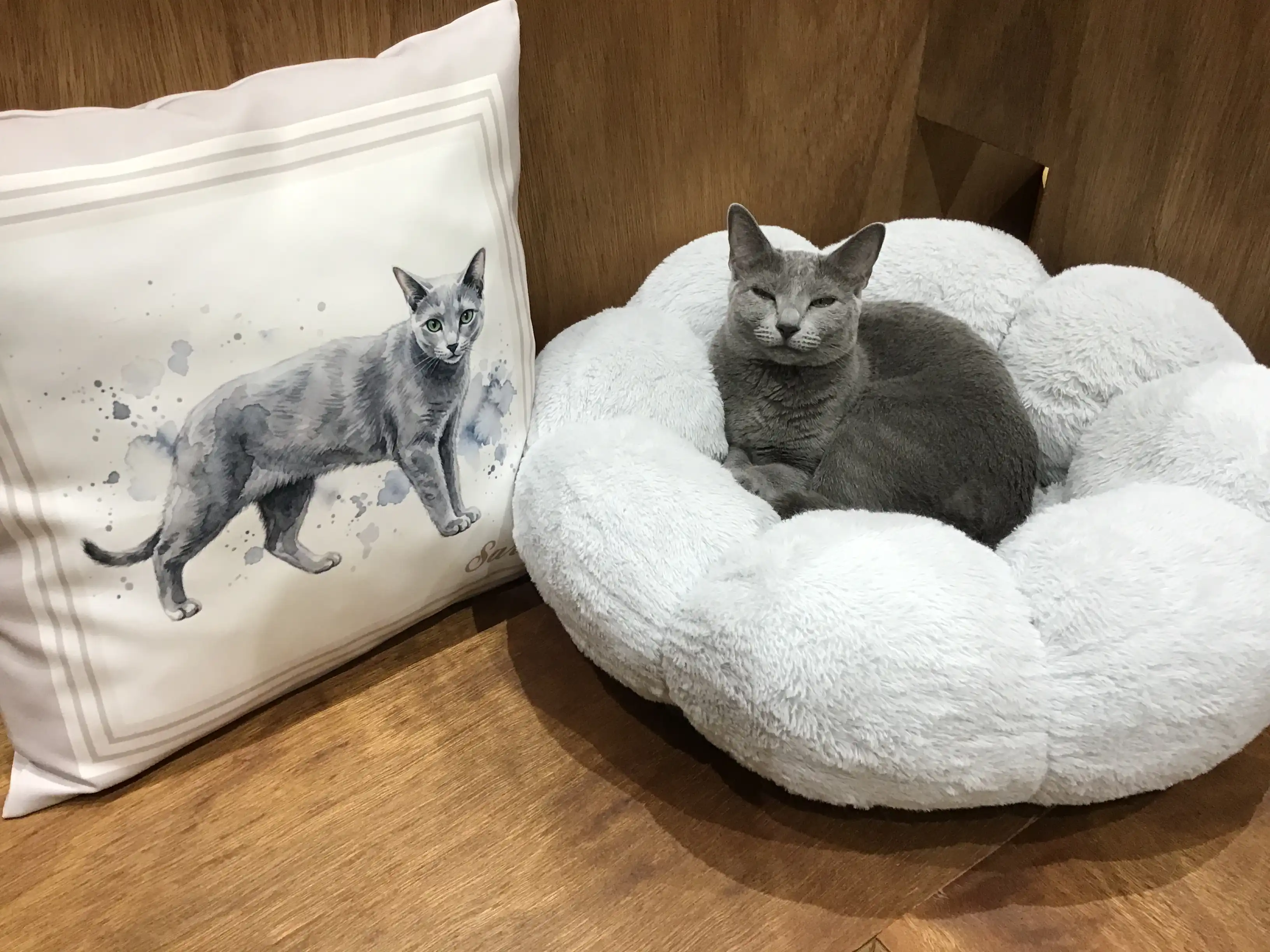 ネコちゃんグッズのご紹介！