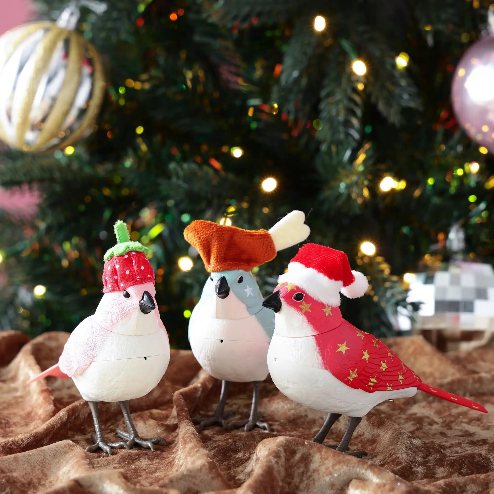 ☆クリスマスを盛り上げる小鳥達☆