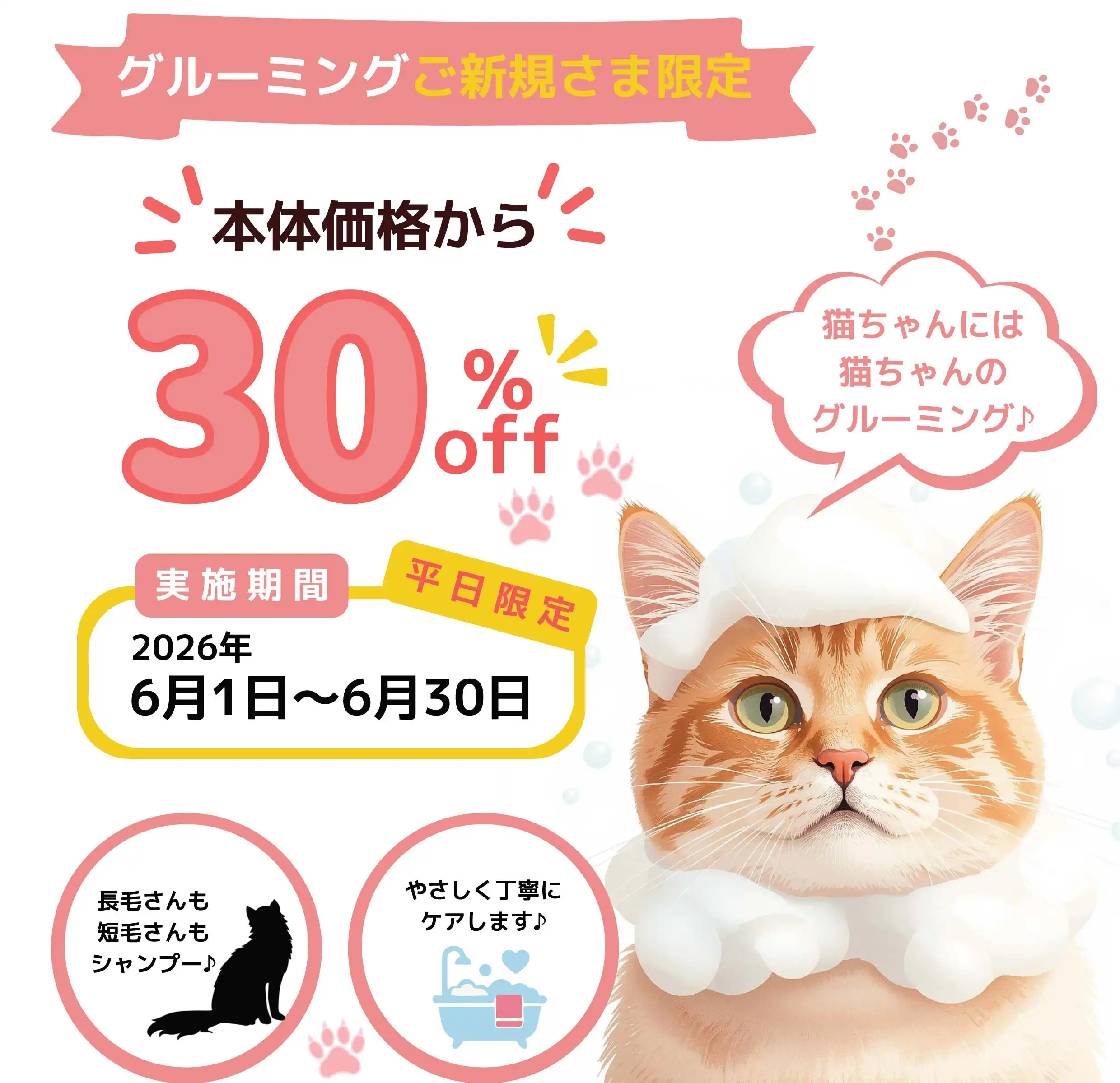 【猫ちゃんのグルーミング案内】