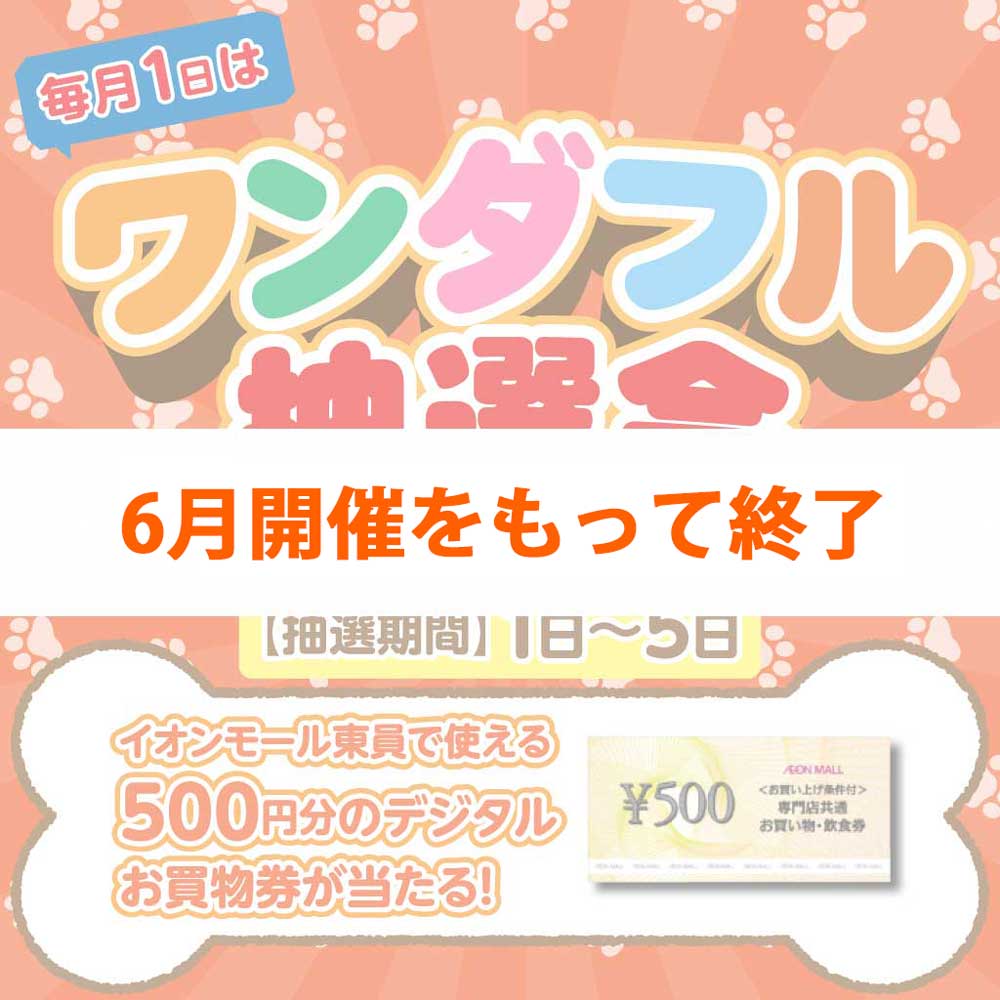 【6月開催をもって終了】ワンダフル抽選会のお知らせ