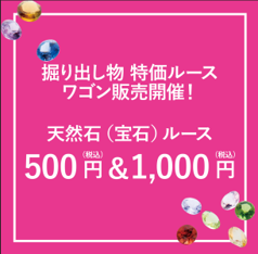 BLOOMミネラルルース　ワゴン市