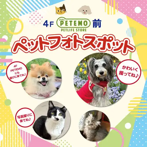 ペットフォトスポット♪