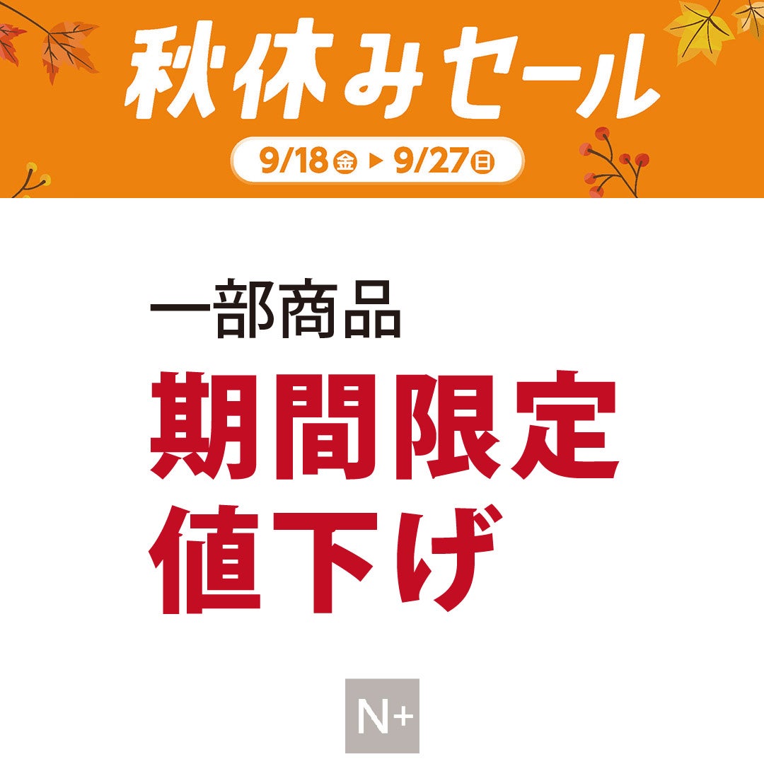 エヌプラス