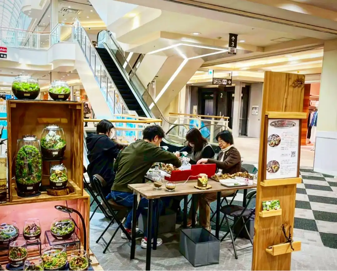 苔と暮らす ~一つの苔から広がる癒しの景色~