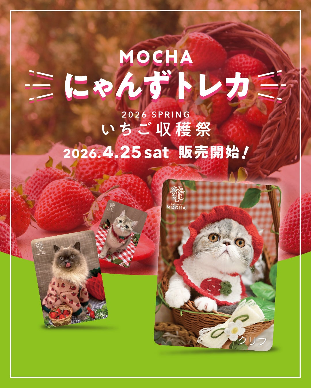 ニュース｜春限定トレカ販売のお知らせ｜イオンモール幕張新都心