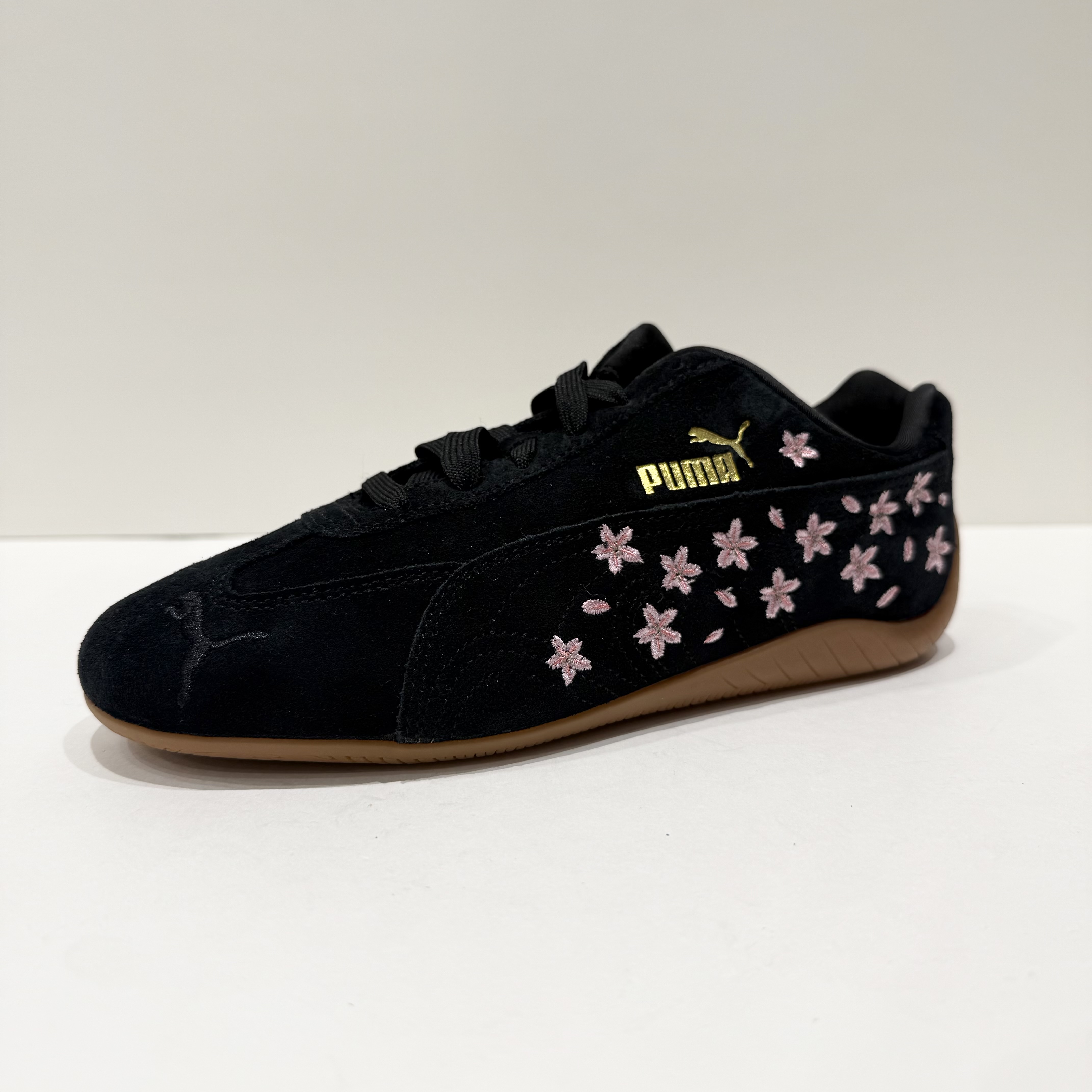 New Arrival !!