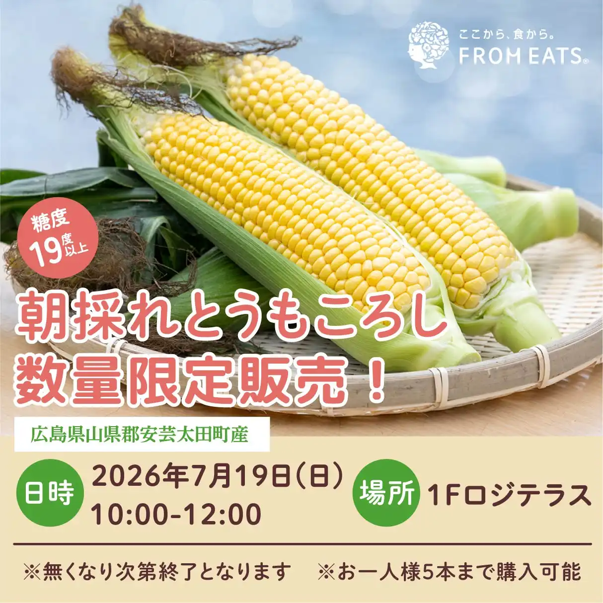 【ROJIテラス】朝採れとうもろこし 数量限定販売!