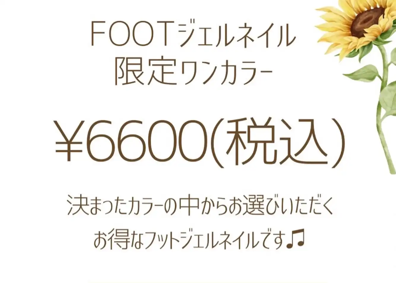 7月のキャンペーン