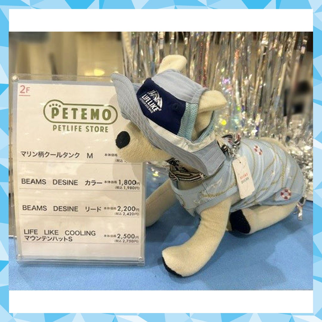 ひんやりグッズ特集 ペテモ